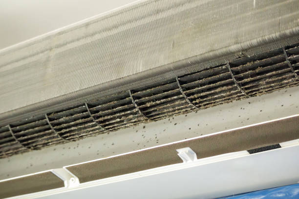 Best HVAC System Cleaning  in Shorewood, MN
